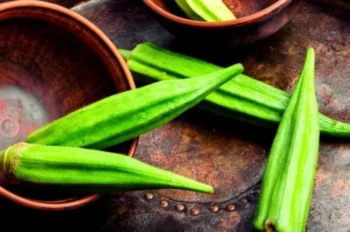 خواص شگفت‌انگیز بامیه برای افراد مبتلا به دیابت و تأثیرات آن بر سلامت بدن