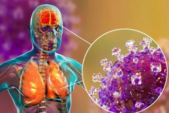 ویروس نیپا چیست؟ علائم، راه‌های انتقال و میزان خطر آن