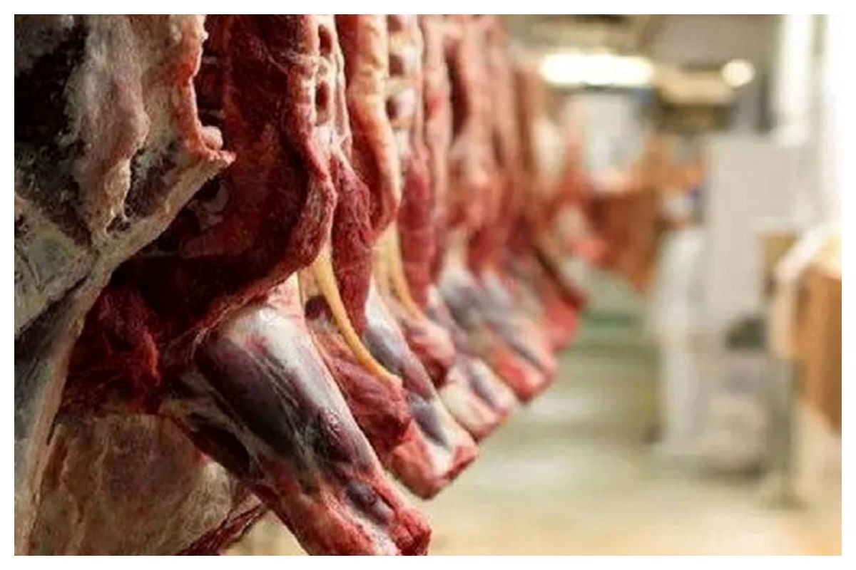 قیمت گوشت قرمز امروز کاهش یافت | آخرین نرخ گوشت و دام زنده در بازار ماه رمضان