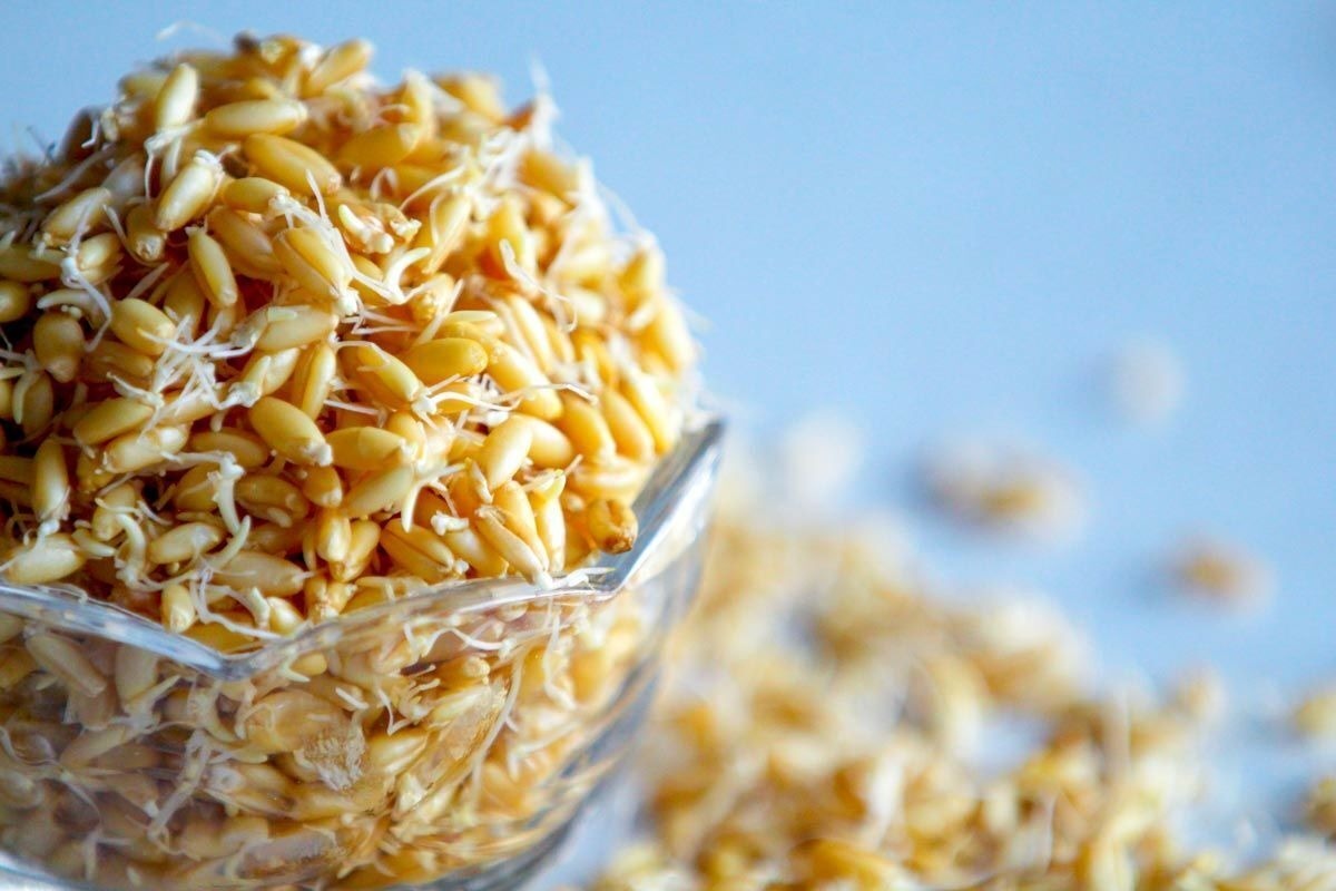 خواص جوانه گندم برای زیبایی، باروری، تناسب اندام و تقویت مو + روش تهیه ماسک