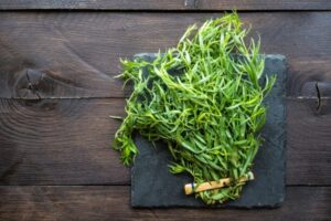 خواص ترخون؛ بررسی فواید ترخون تازه، خشک و روغن آن + طبع، دمنوش و عوارض مصرف