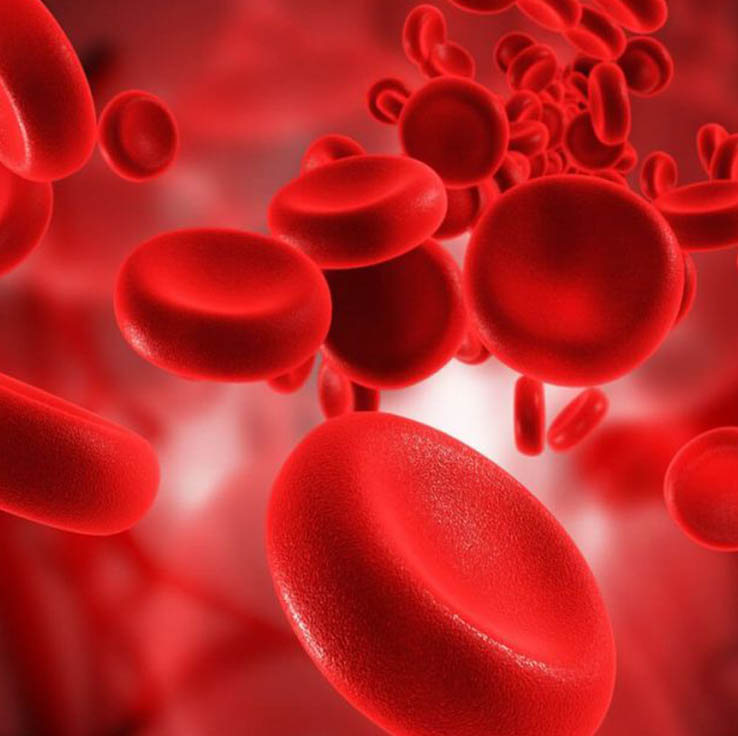غلظت خون چیست؟ بررسی علل، انواع و عوامل مؤثر بر افزایش غلظت خون