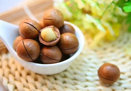 خواص ماکادمیا؛ بررسی فواید این آجیل ارزشمند برای پوست، مو و سلامت بدن