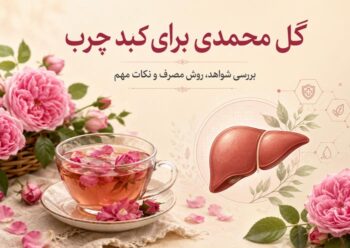 گل محمدی برای کبد چرب؛ خواص، روش مصرف و نظر علم درباره دمنوش و گلاب
