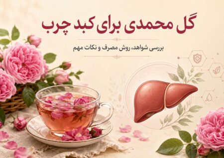 گل محمدی برای کبد چرب؛ خواص، روش مصرف و نظر علم درباره دمنوش و گلاب